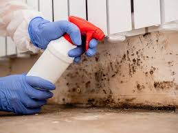 Best Industrial Mold Remediation in Rockdale, TX